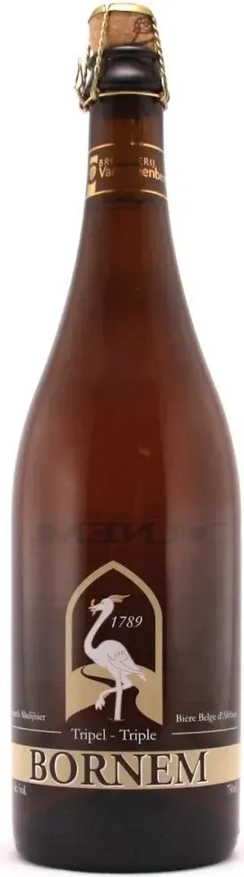 Пиво Van Steenberge Bornem Triple, 0.75 л