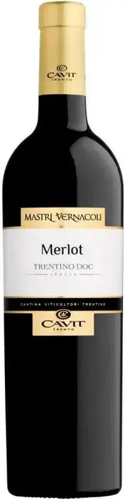 Вино Mastri Vernacoli Merlot Trentino DOC, 2020, 0.75 л