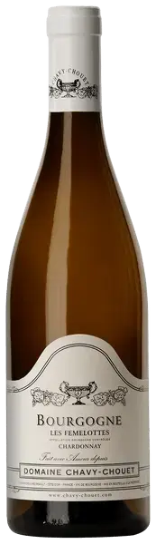  Domaine Chavy-Chouet Bourgogne Blanc Les Femelottes, 2019, 0.75 л