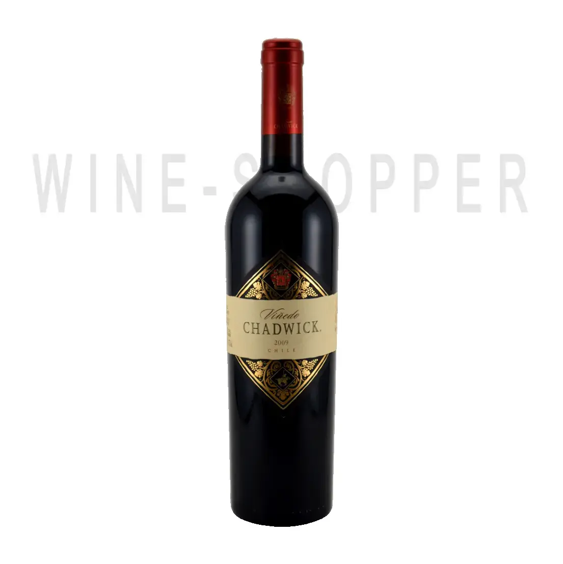 Вино Vinedo Chadwick Errazuriz 2010 0.75 л