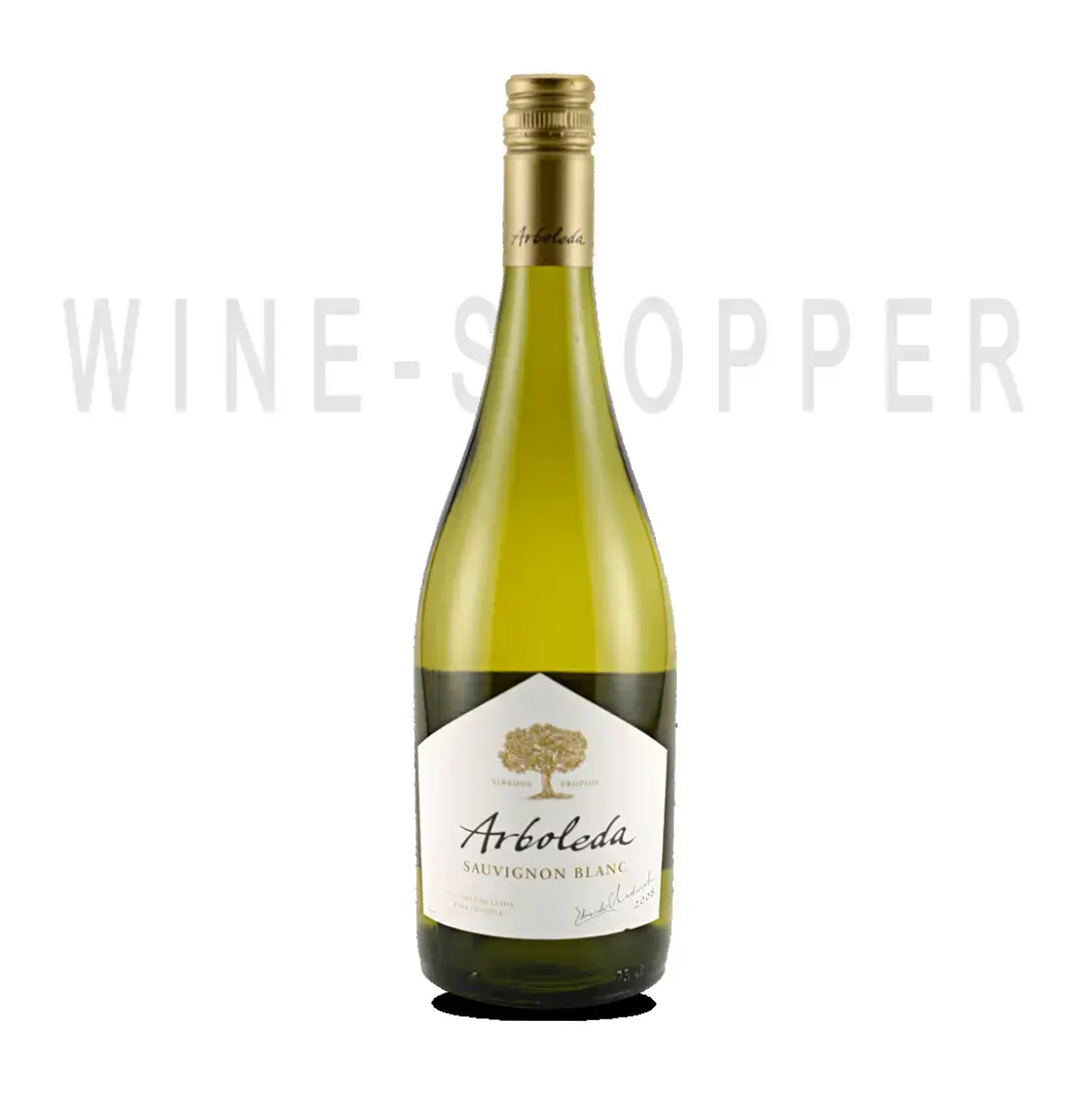 Вино Sauvignon Blanc Vina Arboleda 2013 0.75 л