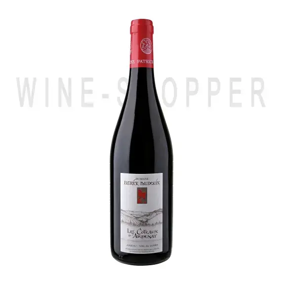 Вино Domaine Patrick Baudouin Les Coteaux d’Ardenay Anjou Rouge 2010 0.75 л
