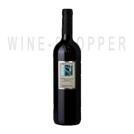 Вино Apollonio Salice Salentino DOC 2007 0.75 л
