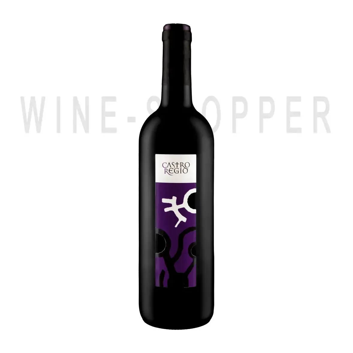 Вино Castro Regio Red Dry 0.75 л