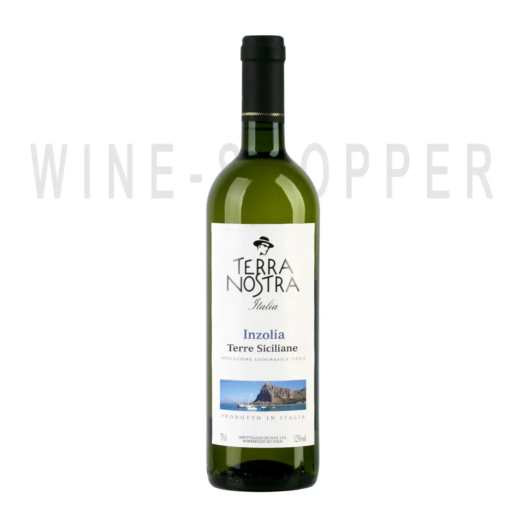 Вино Inzolia Terre Siciliane Italiano Vero Terra Nostra 0.75 л