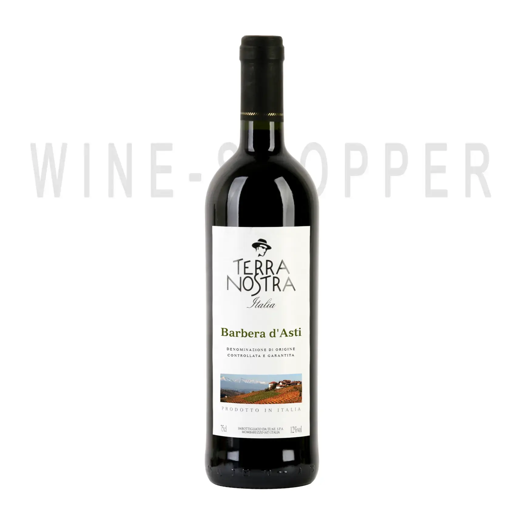 Вино Barbera d`Asti Terra Nostra 0.75 л