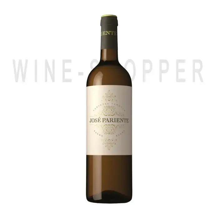 Вино Jose Pariente Varietal Verdejo 2016 0.75 л
