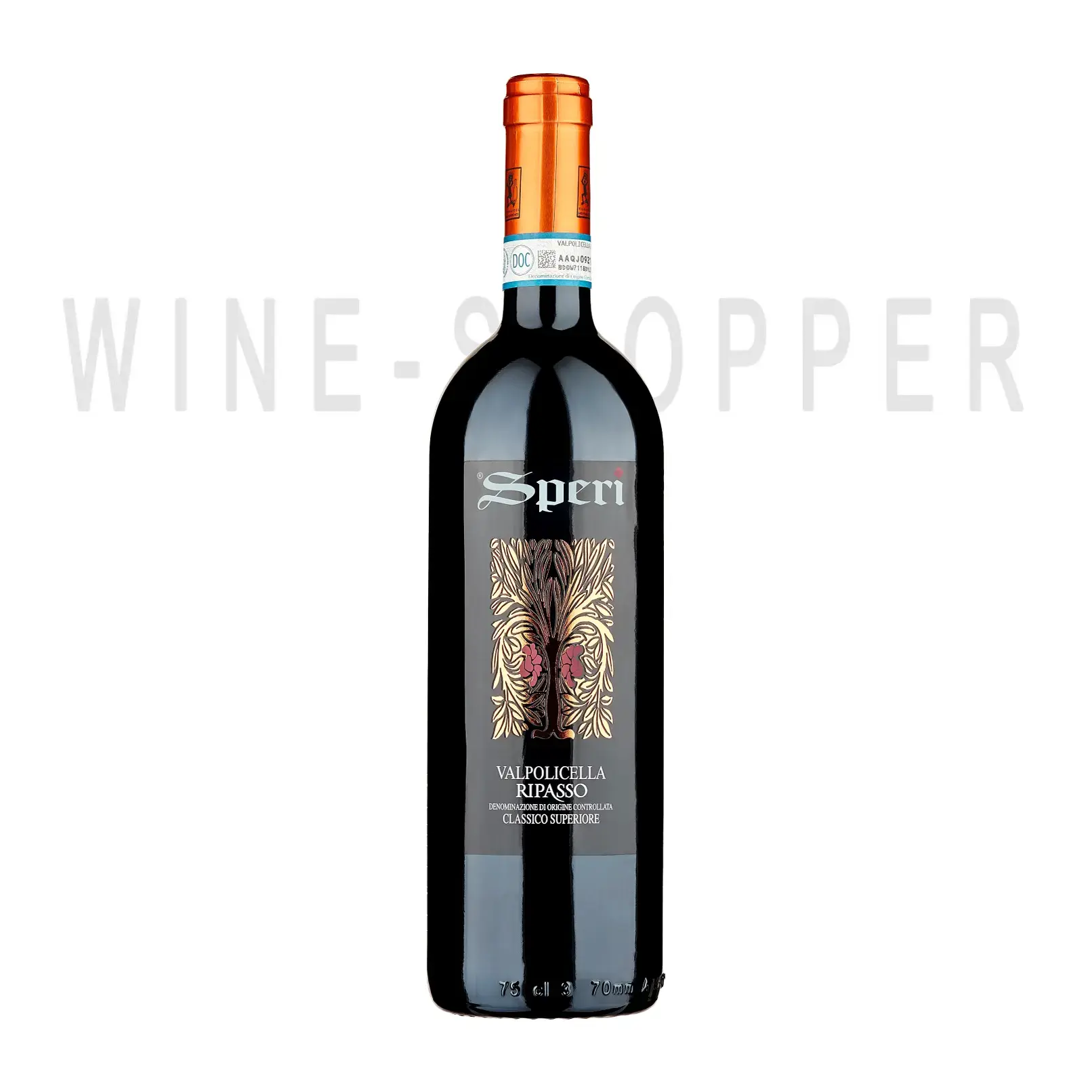 Вино Speri Valpolicella Ripasso Classico Superiore DOC 2019 0.75 л