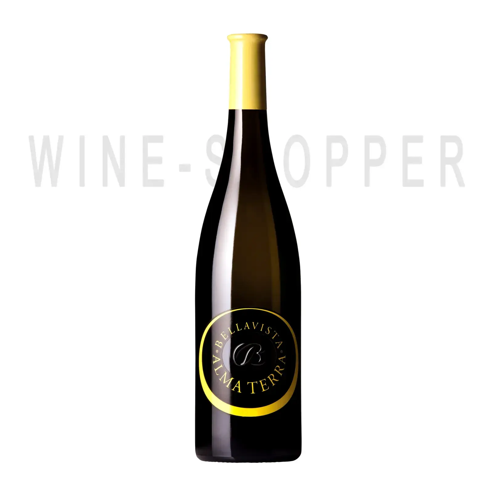 Вино Bellavista Alma Terra Curtefranca Bianco DOC 2020 0.75 л