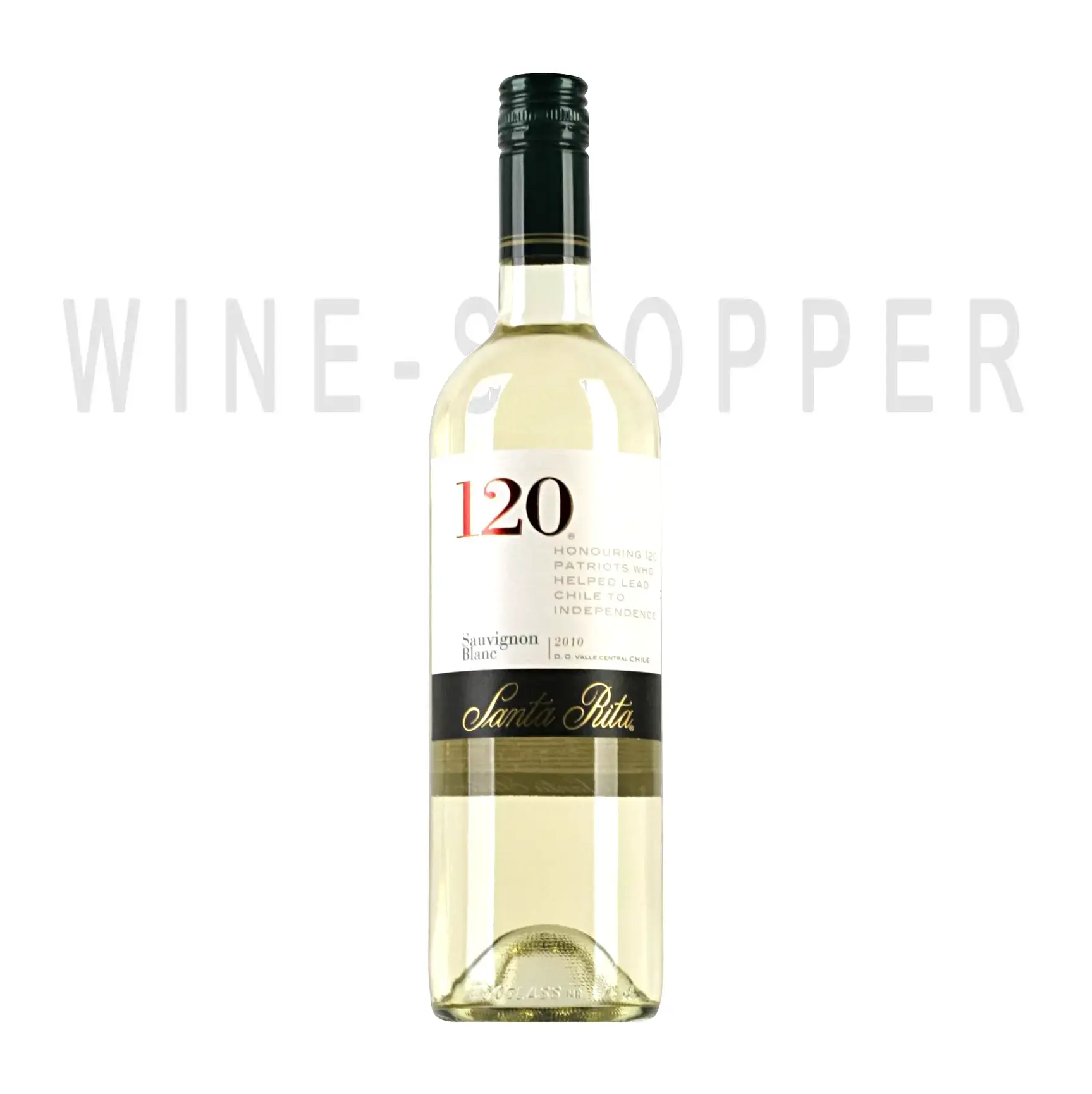 Вино Sauvignon Blanc 120 Santa Rita 2010 0.75 л