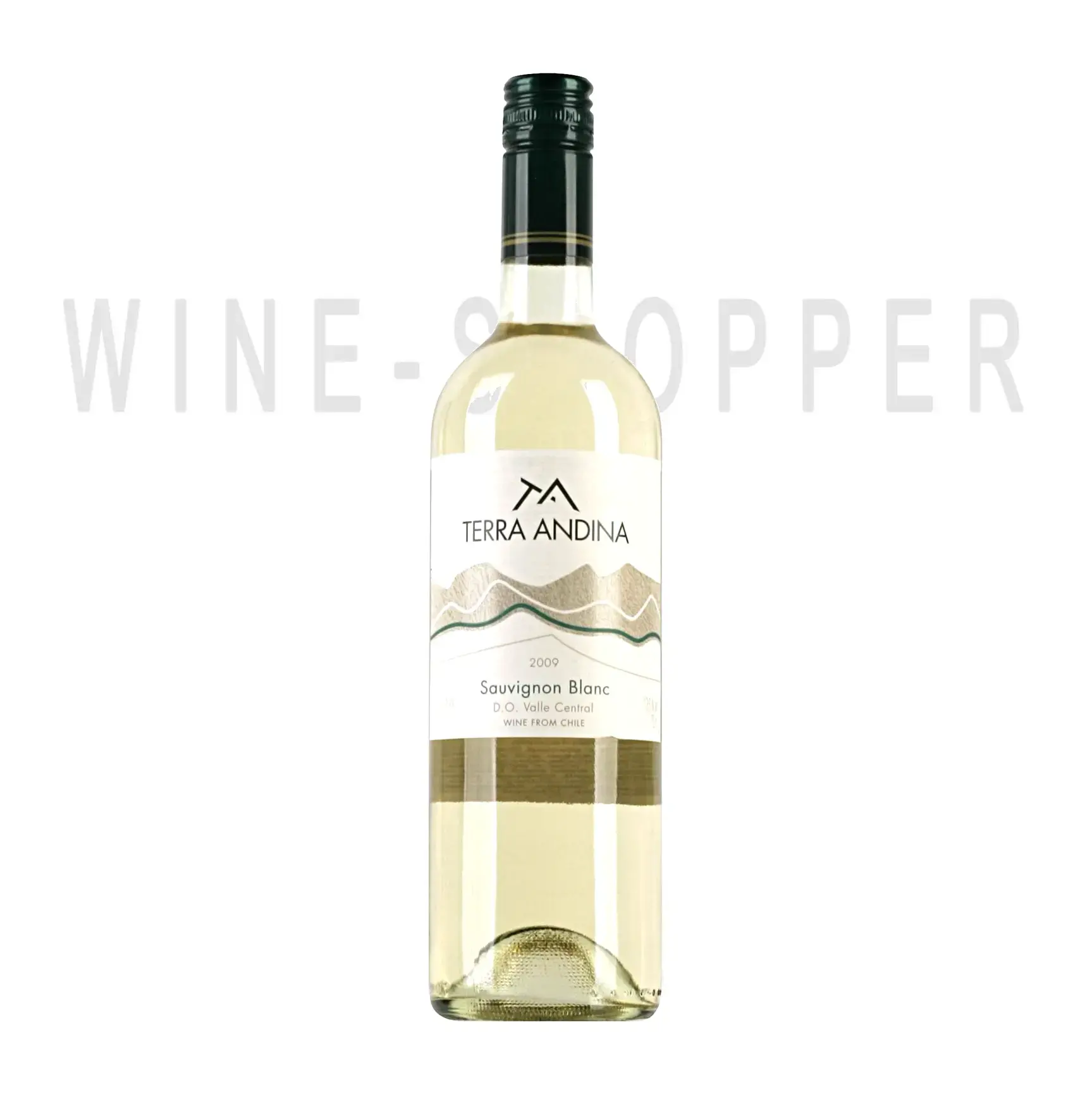 Вино Sauvignon Blanc Valle Central Terra Andina 0.75 л