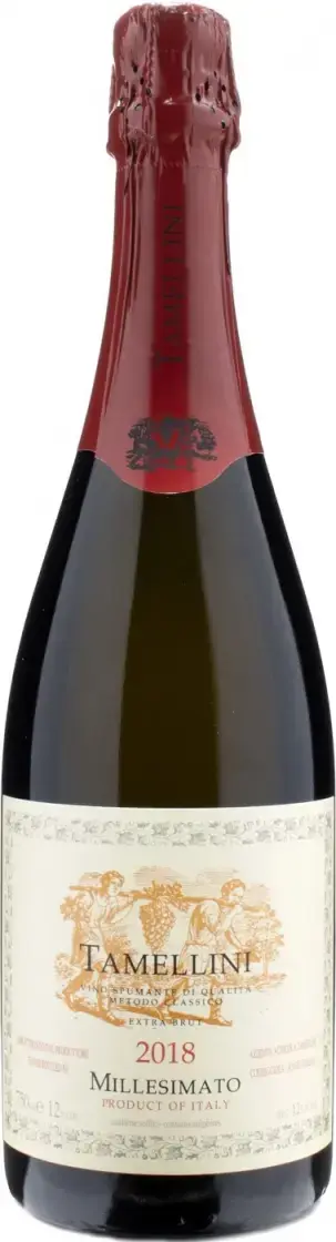 Игристое вино вино Tamellini Millesimato Extra Brut, 2018, 0.75 л