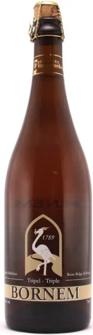 Пиво Van Steenberge Bornem Triple, 0.75 л