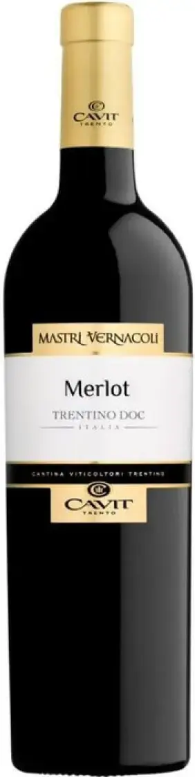 Вино Mastri Vernacoli Merlot Trentino DOC, 2020, 0.75 л