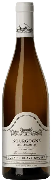  Domaine Chavy-Chouet Bourgogne Blanc Les Femelottes, 2019, 0.75 л