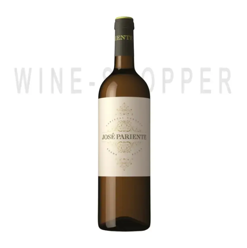 Вино Jose Pariente Varietal Verdejo 2016 0.75 л
