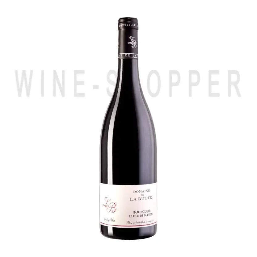 Вино Le Pied de la Butte Bourgueil AOC 2019 0.75л