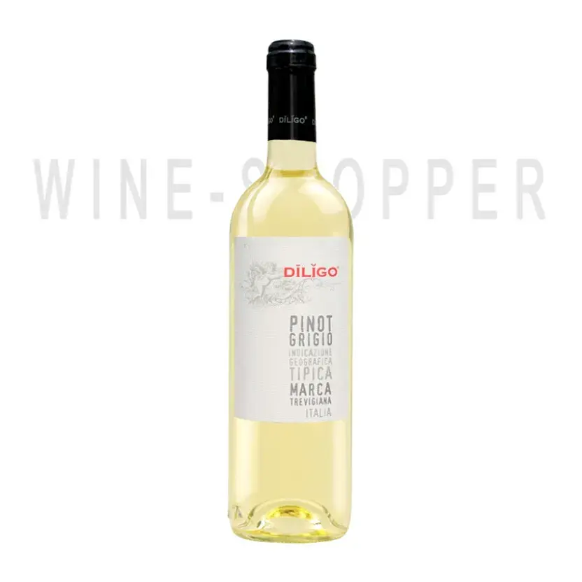 Вино Anna Spinato Pinot Grigio Diligo IGT 2020 0.75 л