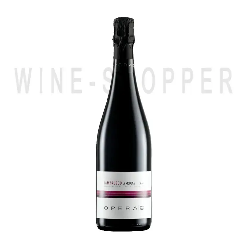 Игристое вино Ca' Montanari Opera 02 Brut Lambrusco di Modena DOP 2021 0.75 л
